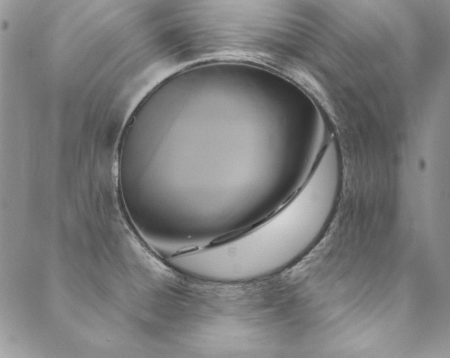 X0000090501428200707131341