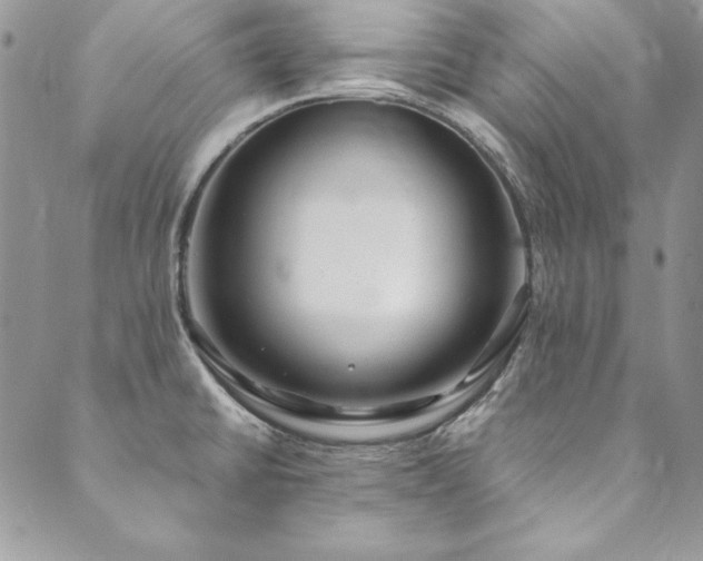 X0000090501430200707131341