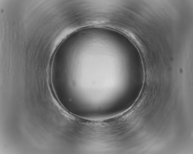 X0000090501432200707131341