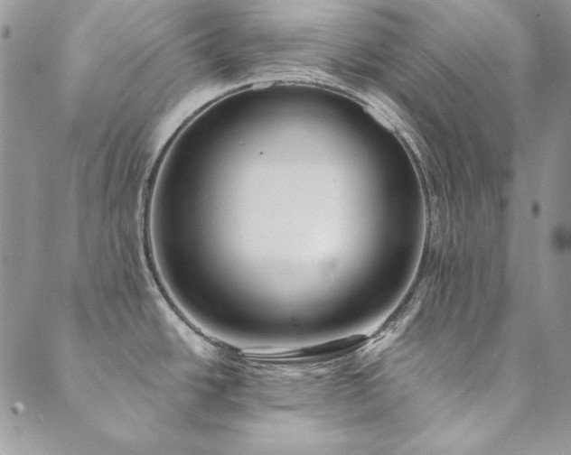 X0000090501438200707131341