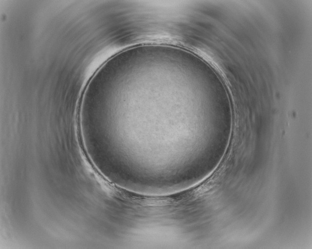 X0000090501440200707131341