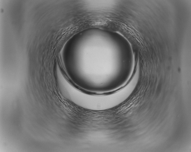 X0000090501441200707131340