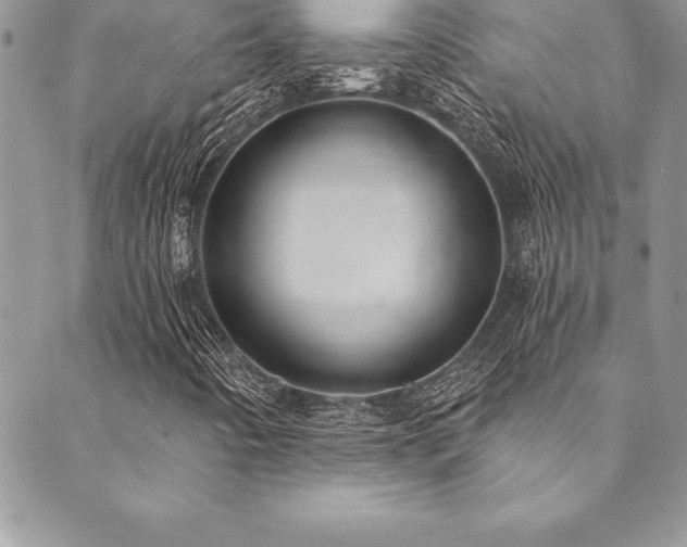 X0000090501442200707131340