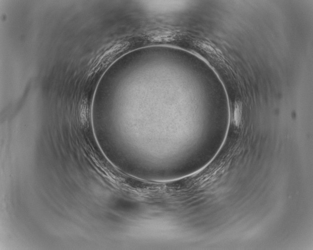 X0000090501444200707131340