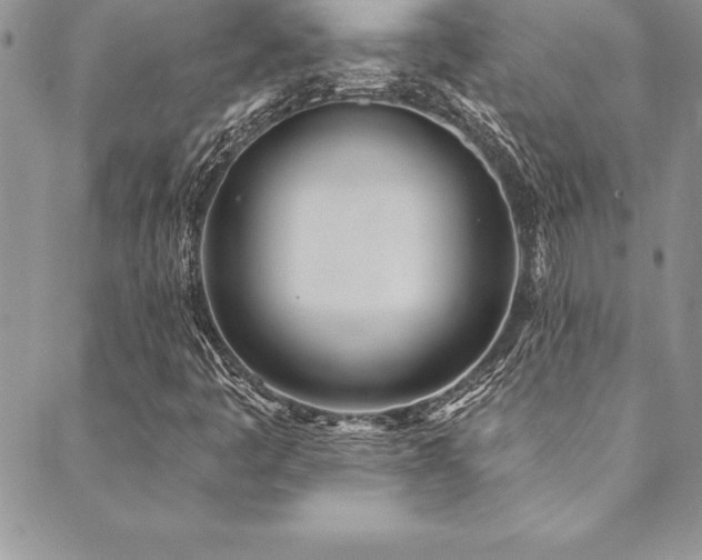 X0000090501445200707131340