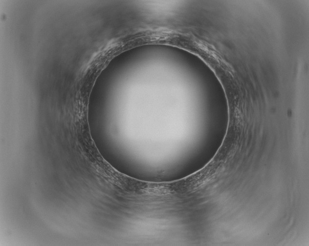 X0000090501447200707131340