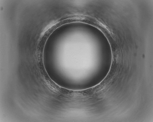X0000090501448200707131340