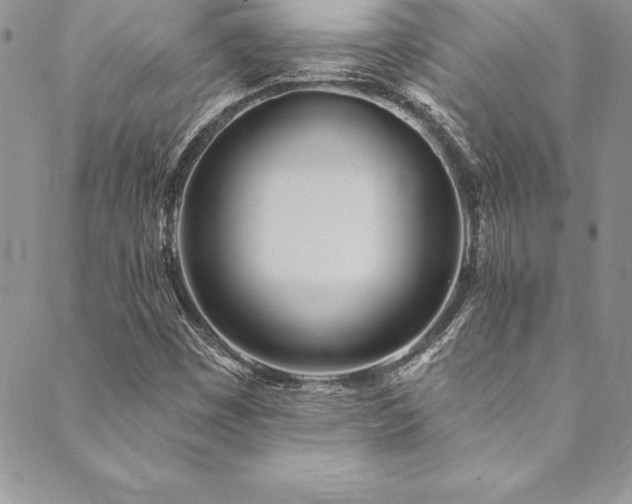 X0000090501449200707131340