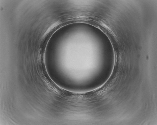 X0000090501450200707131340