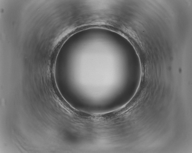 X0000090501452200707131340