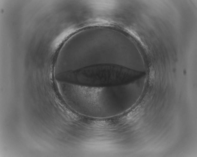 X0000090501455200707131340