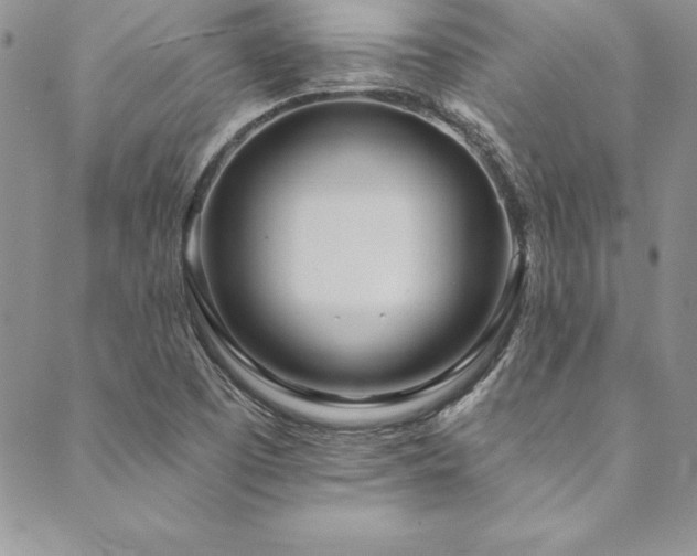 X0000090501457200707131340