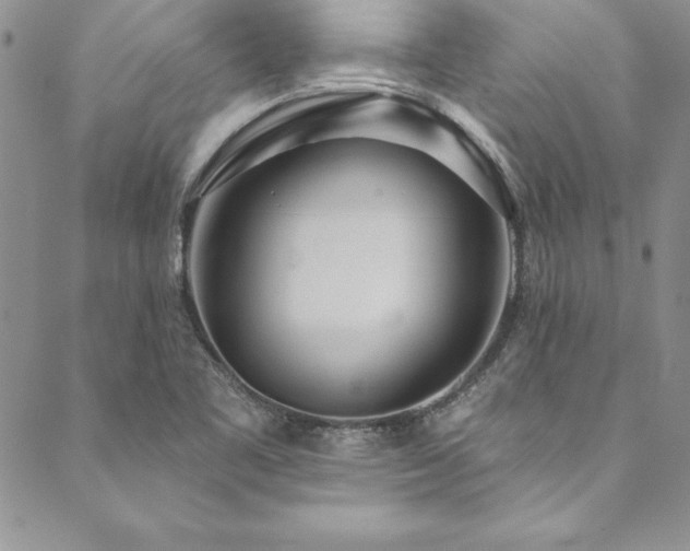 X0000090501461200707131340