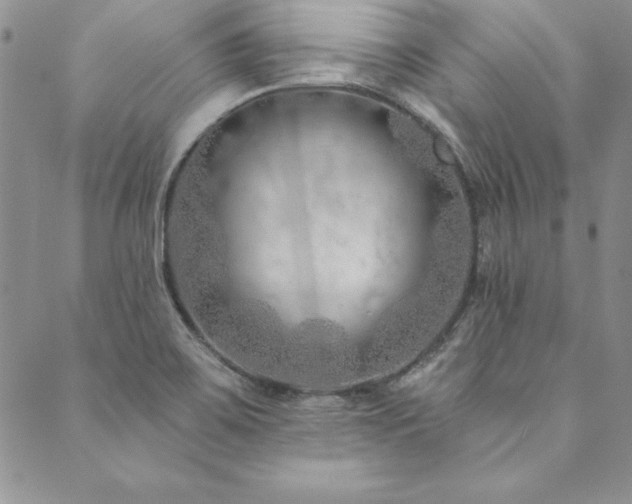 X0000090501467200707131340