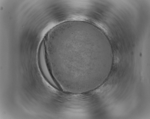 X0000090501471200707131340