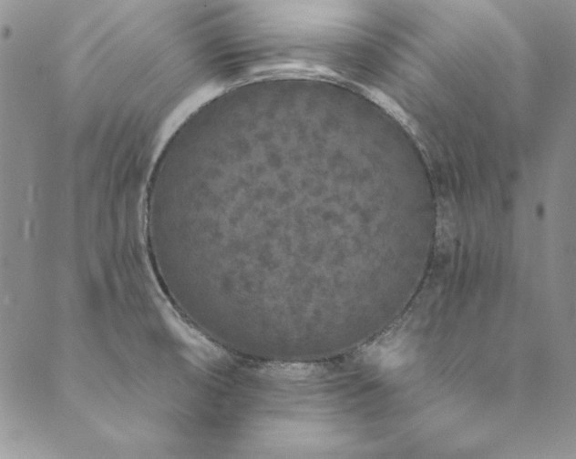 X0000090501474200707131340