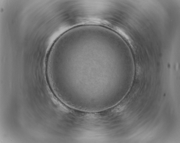 X0000090501480200707131340