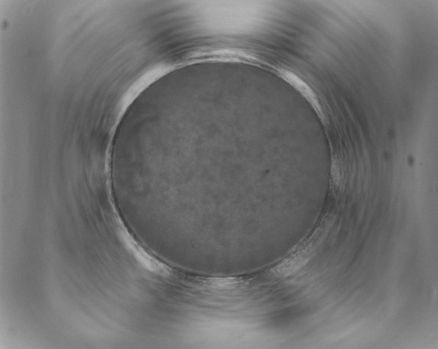 X0000090501482200707131340