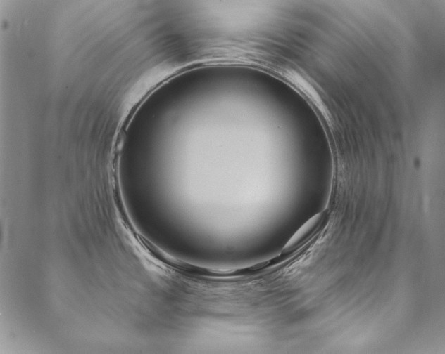 X0000090501485200707131340