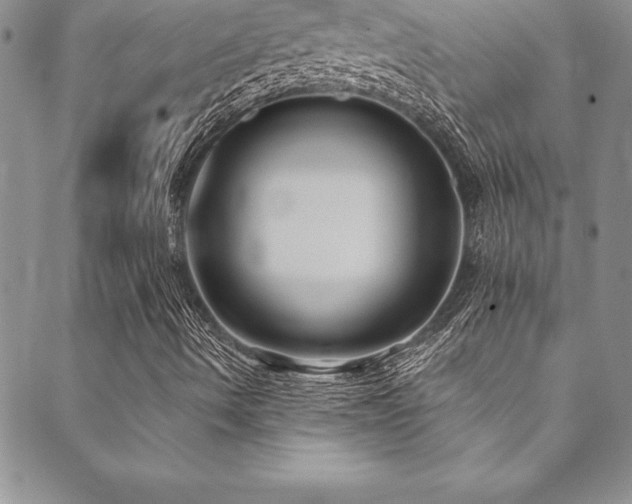 X0000090501490200707131339