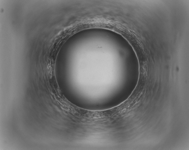X0000090501493200707131339