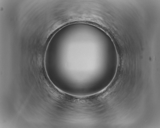 X0000090501505200707131339