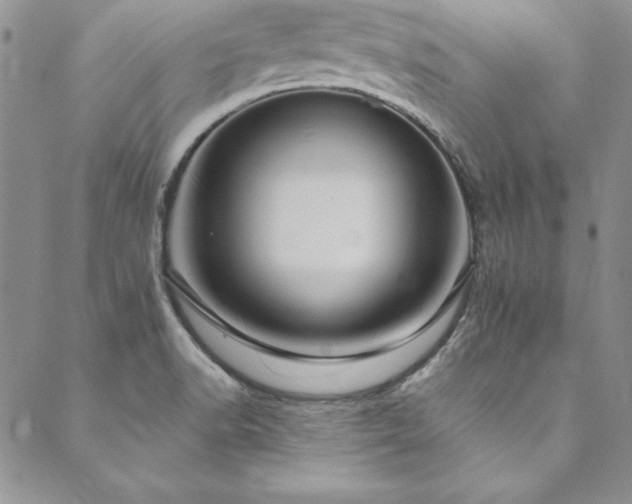 X0000090501518200707131339