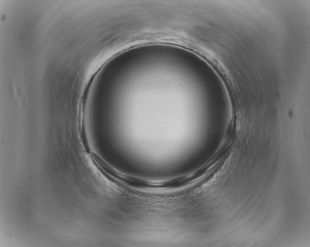 X0000090501520200707131339