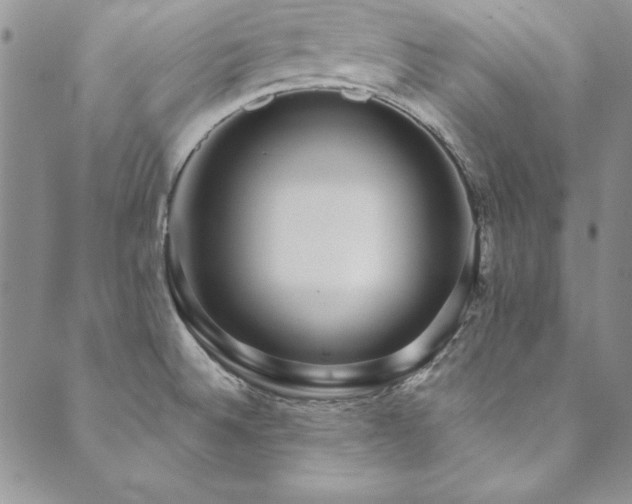 X0000090501524200707131339