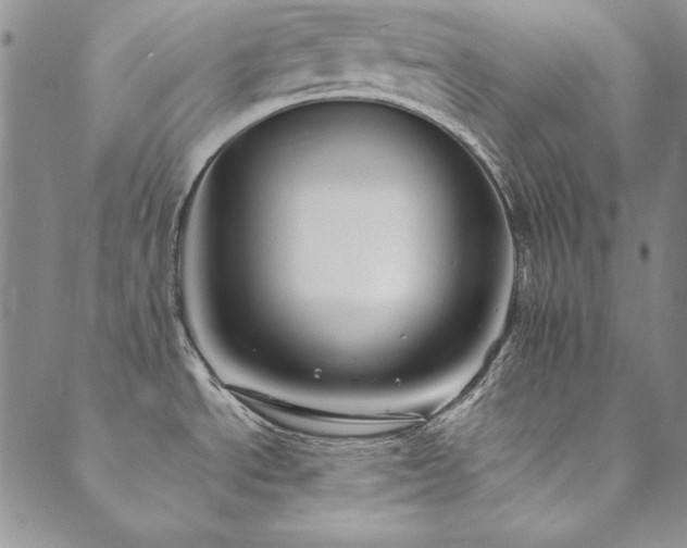 X0000090501534200707131339