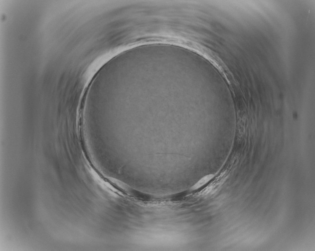 X0000090501535200707131339