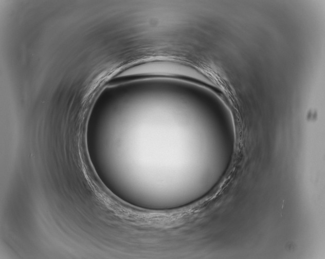 X0000090500001200707201556