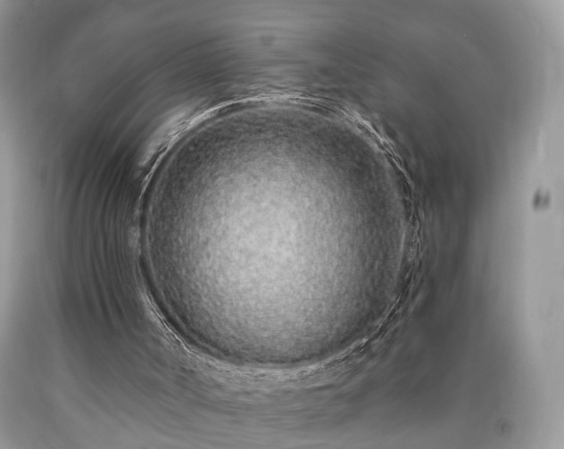 X0000090500002200707201556