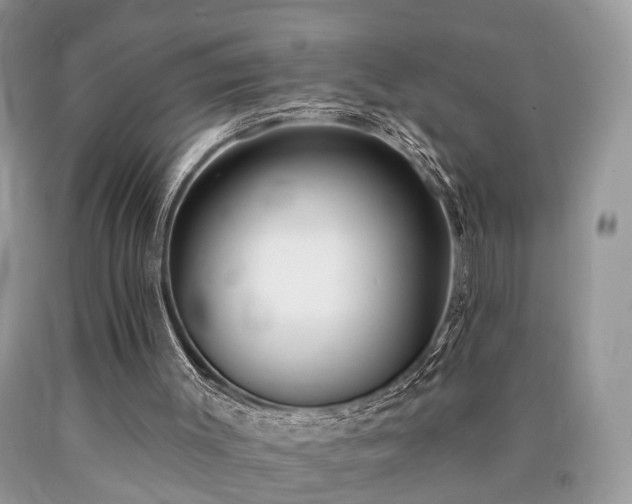 X0000090500003200707201556