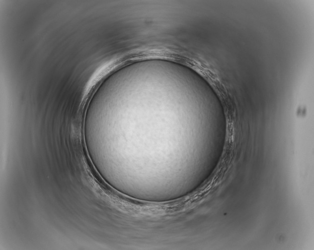 X0000090500004200707201556