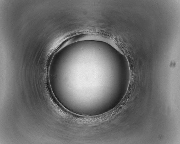 X0000090500005200707201556