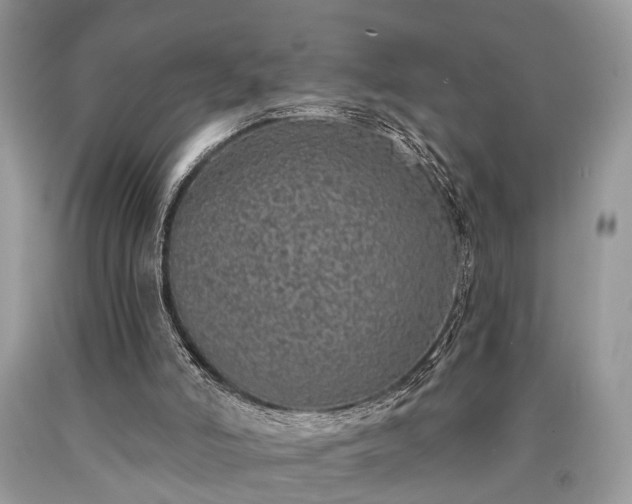 X0000090500006200707201556