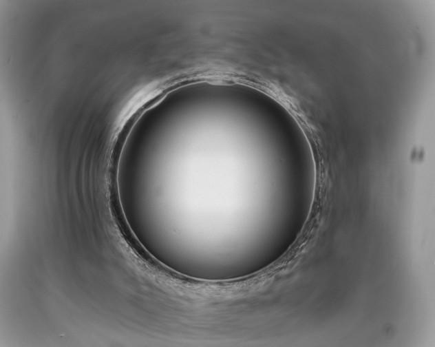 X0000090500007200707201556