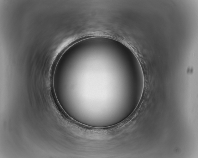 X0000090500008200707201556