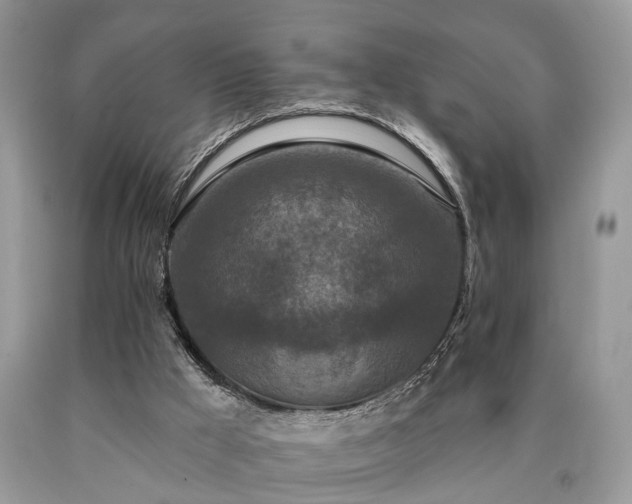 X0000090500009200707201556