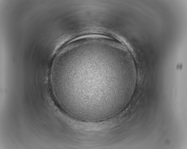 X0000090500010200707201556