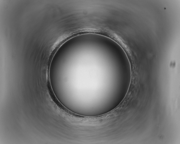 X0000090500011200707201556