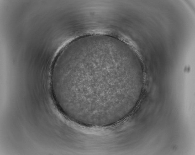 X0000090500012200707201556