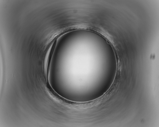 X0000090500013200707201556