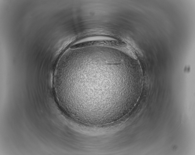 X0000090500014200707201556