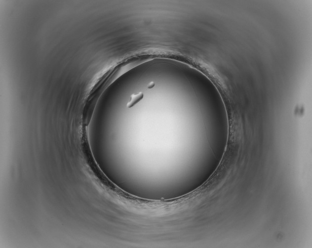 X0000090500015200707201556