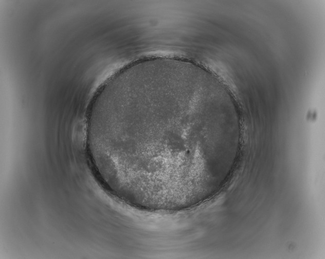 X0000090500016200707201556