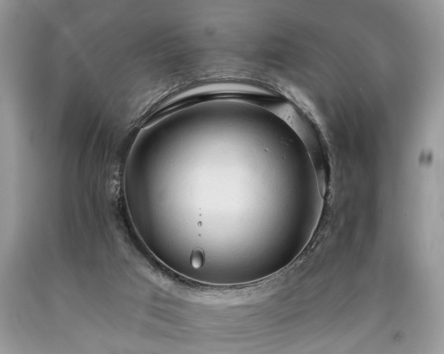 X0000090500017200707201556