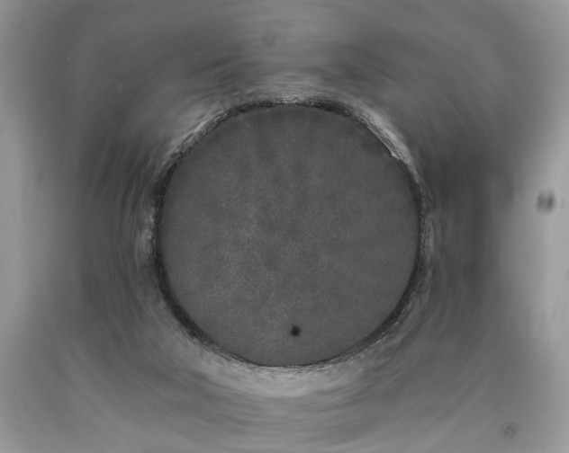 X0000090500018200707201556