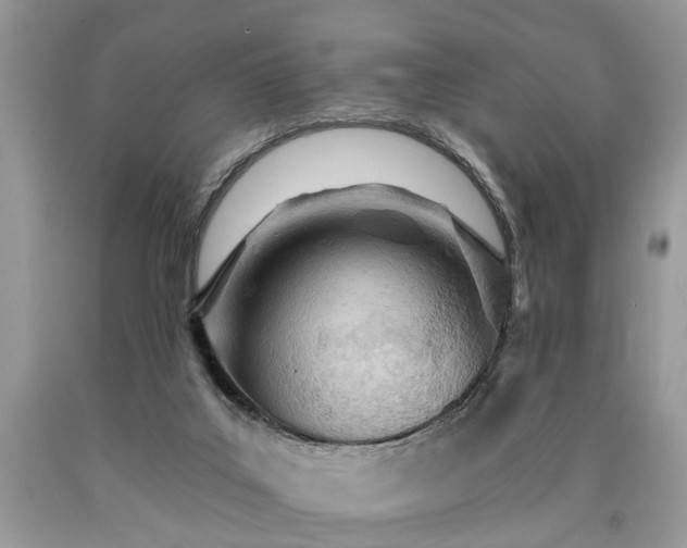 X0000090500019200707201556